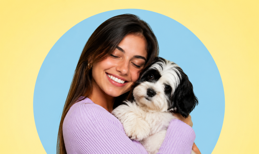 Castração Gratuita para Cães e Gatos: Veja Como Encontrar Vagas na Sua Região